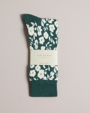 Green Men's Ted Baker Coldday Floral Pattern Sock Price In India | N3C-7130