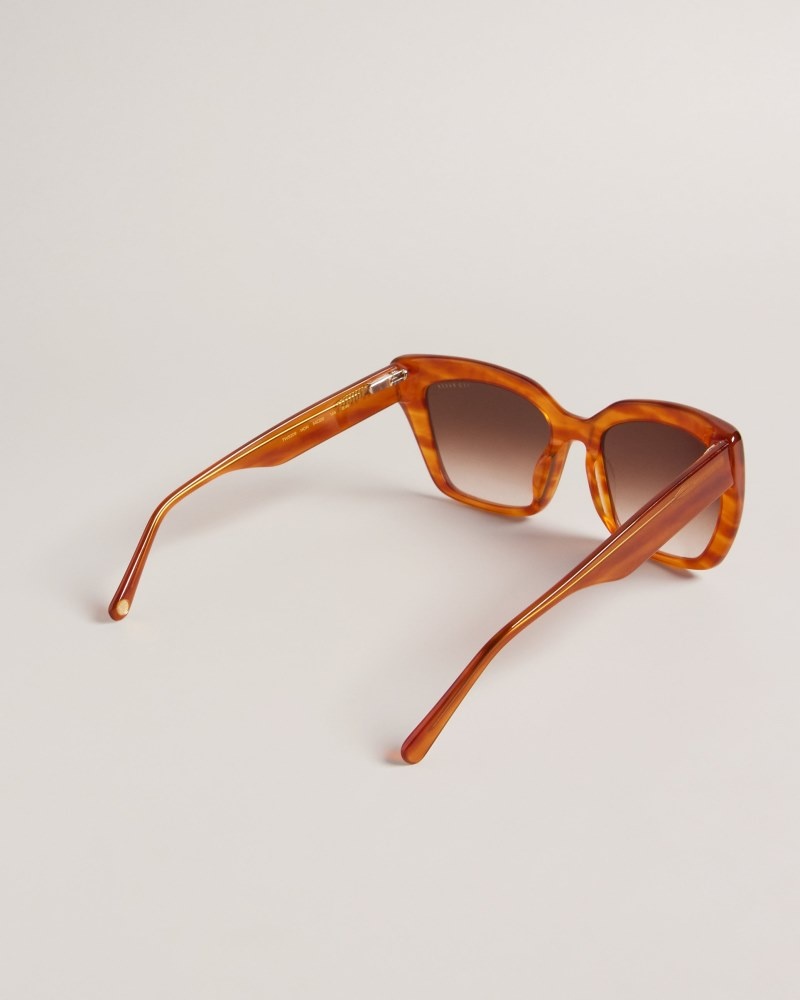 Brown Women's Ted Baker Hyatts Chunky Cat Eye Frame Sunglasses Price In India | N4M-1267